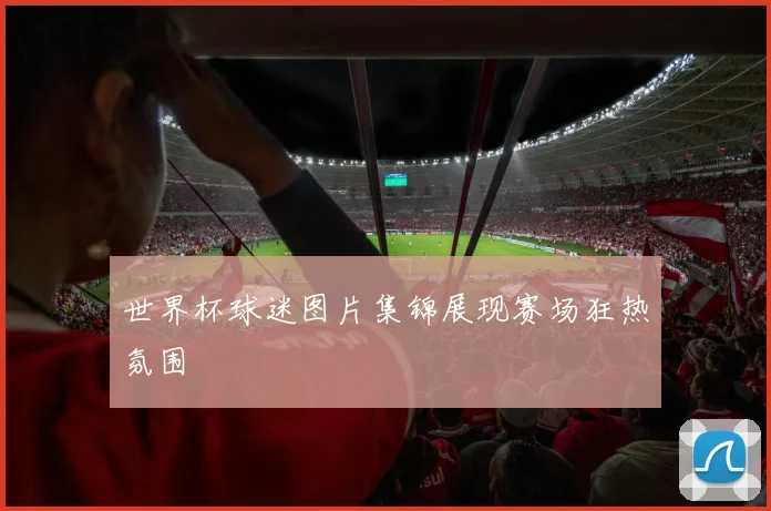 世界杯球迷图片集锦展现赛场狂热氛围