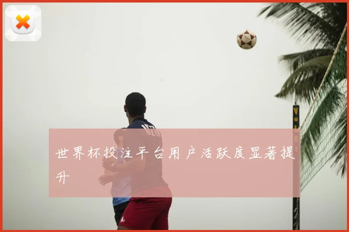 世界杯投注平台用户活跃度显著提升