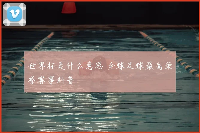 世界杯是什么意思 全球足球最高荣誉赛事科普