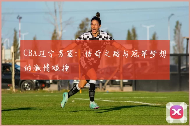 CBA辽宁男篮：传奇之路与冠军梦想的激情碰撞